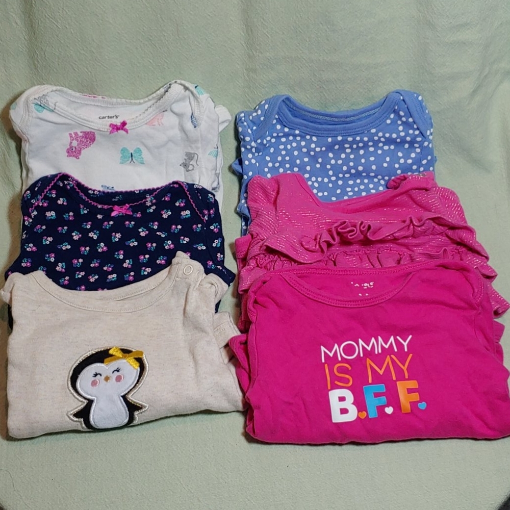 15 piece Long sleeve 3-6 month girl bundle